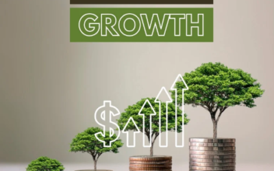 business growth, advertising strategies